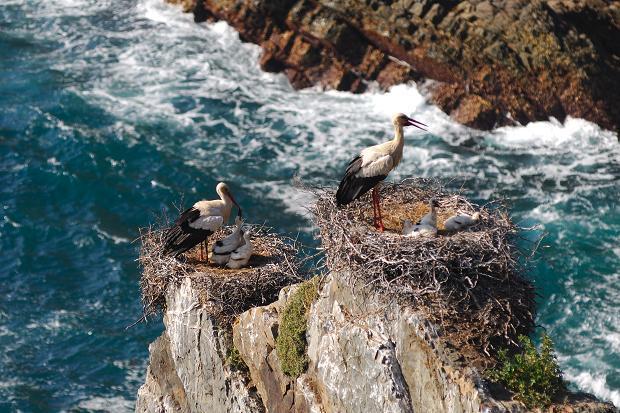 Monte Da Gravita Ribeira do Salto المظهر الخارجي الصورة