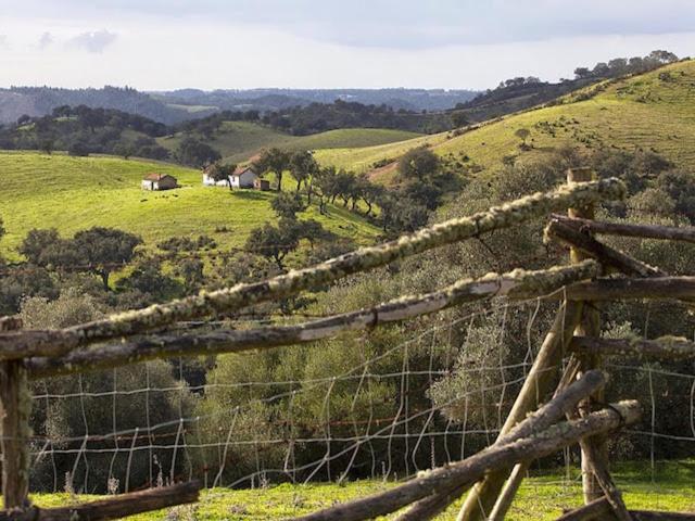Monte Da Gravita Ribeira do Salto المظهر الخارجي الصورة